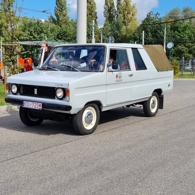 Tarpan